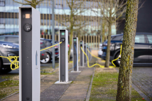 AF Fotografie AFF 0044