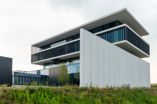 Snowball binnenplein