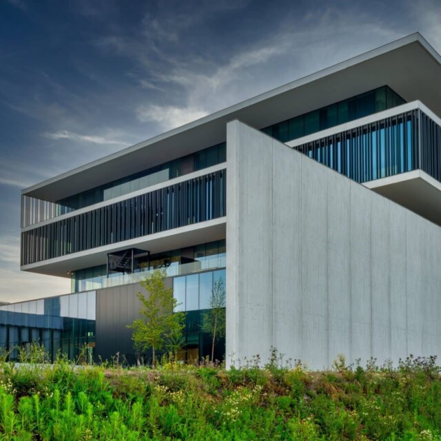 Snowball 007 1280x1280 1